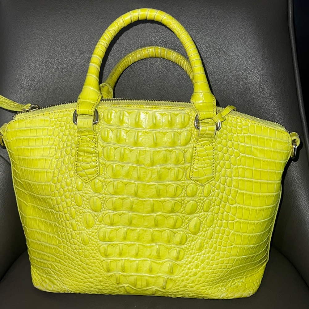 Brahmin satchel